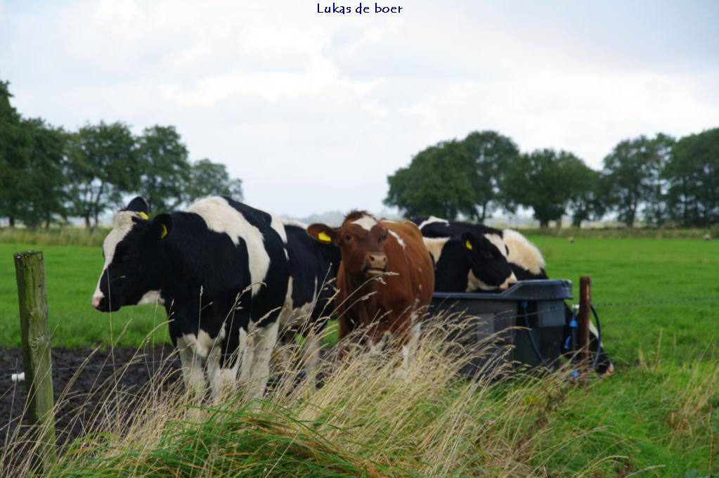 tour (84).jpg - Wachten bij het water